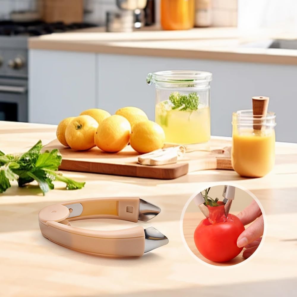 Pineapple Corer and Slicer Tool – 2-in-1 Stainless Steel Fruit Core Remover with Precision Claws | Compact Handheld Design for Pineapple, Guava, Pear & More